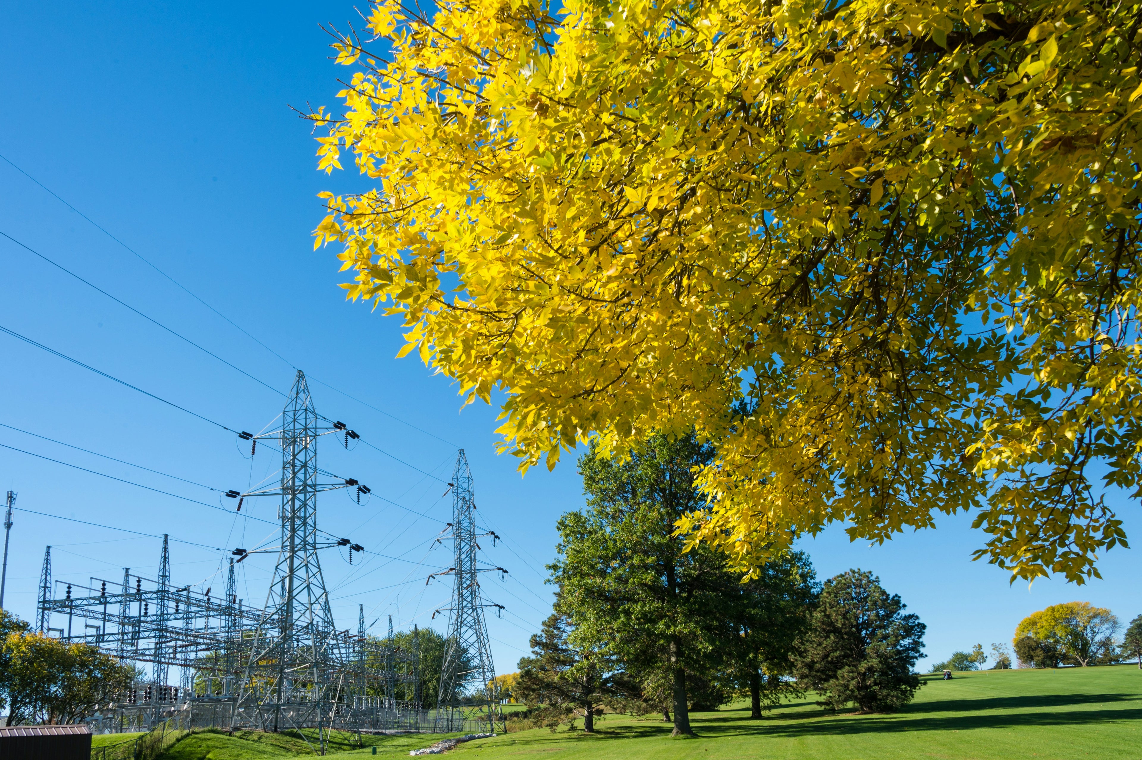 Transmission lines and tree