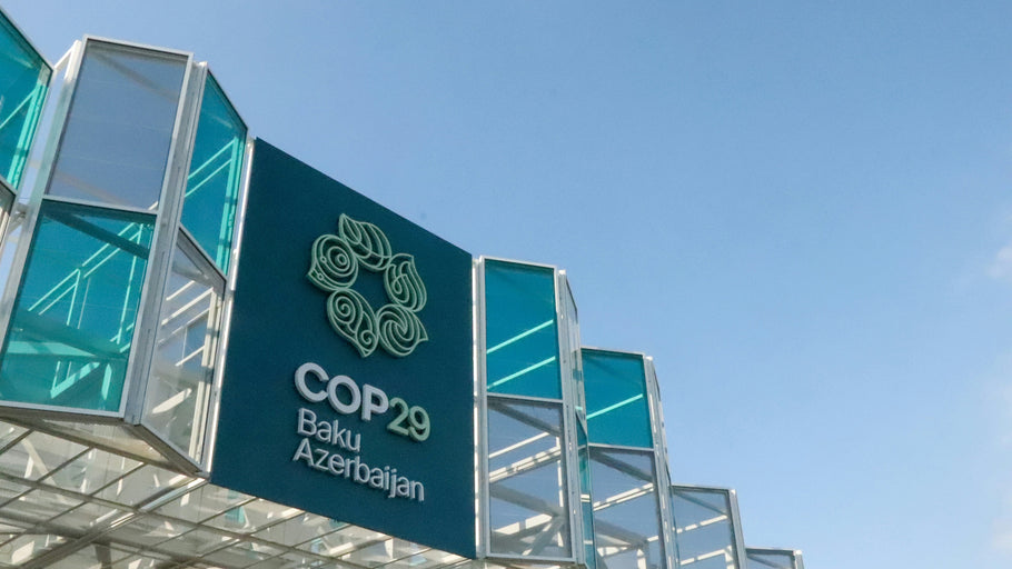 Why COP29 is Not Addressing How Renewables Have Failed Germany Over the Past Two Days