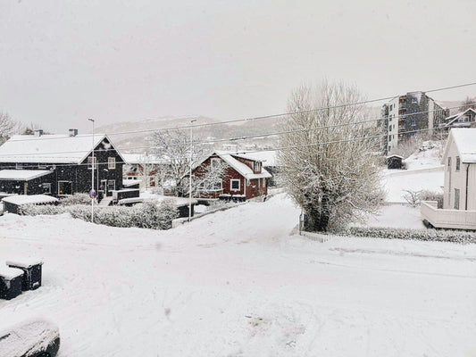 Homes with snow