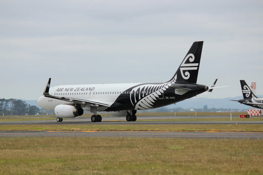 Understanding the Challenge of Net-Zero: Aviation's Net-Zero Dilemma