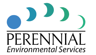 Perennial logo